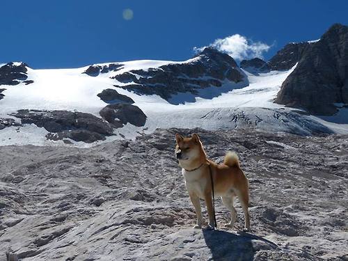 “关键时刻:NBA最难忘的绝杀瞬间”,nba最牛的绝杀