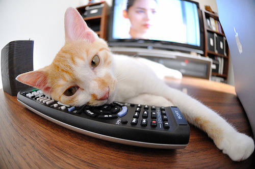 “德甲决战在即：领跑队伍士气高昂”，德甲收官战