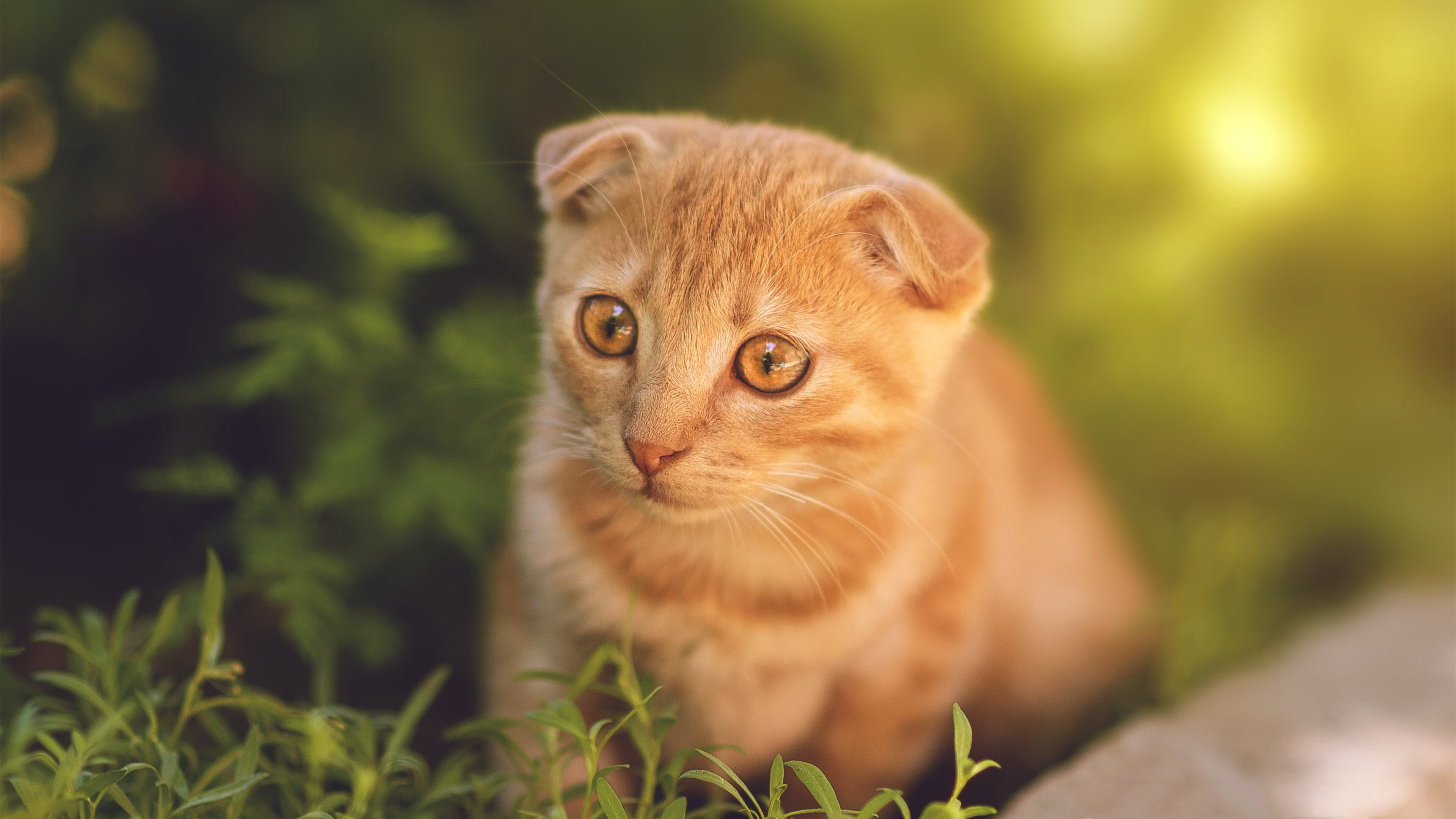 爱游戏娱乐网址-“青春追梦”青少年篮球夏令营在哈尔滨火热开班，打造未来运动人才