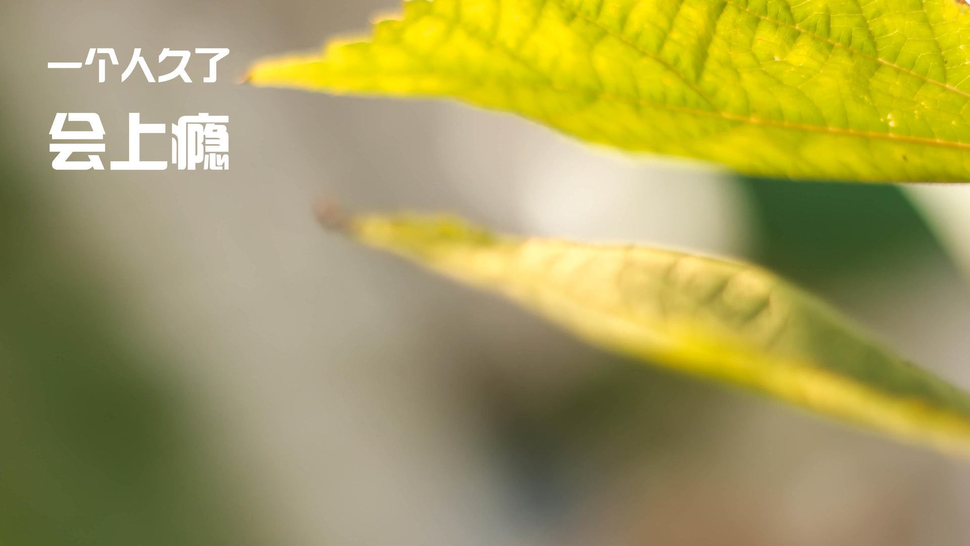 爱游戏官网-意甲新战术发力，个别球员突出表现赢得喝彩，意甲新赛季前瞻