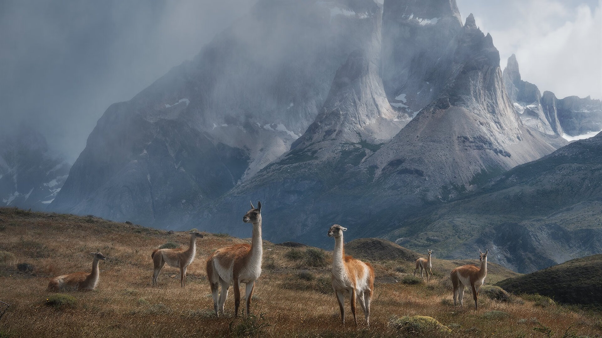 新时代的“黑科技”篮球:智能传感器如何改变比赛策略?,体育比赛传感器