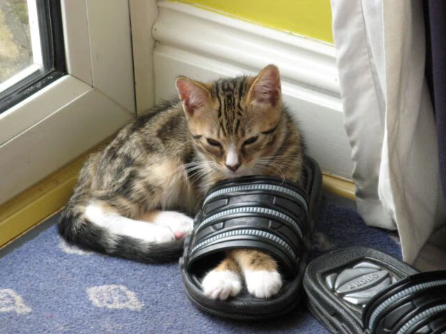 爱游戏app-球迷投票揭晓，年度最佳防守瞬间是哪一幕？，nba最佳防守球员奖最多的