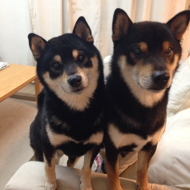 马赛新援引爆全场,成多场比赛点球手,马赛足球队最新新闻