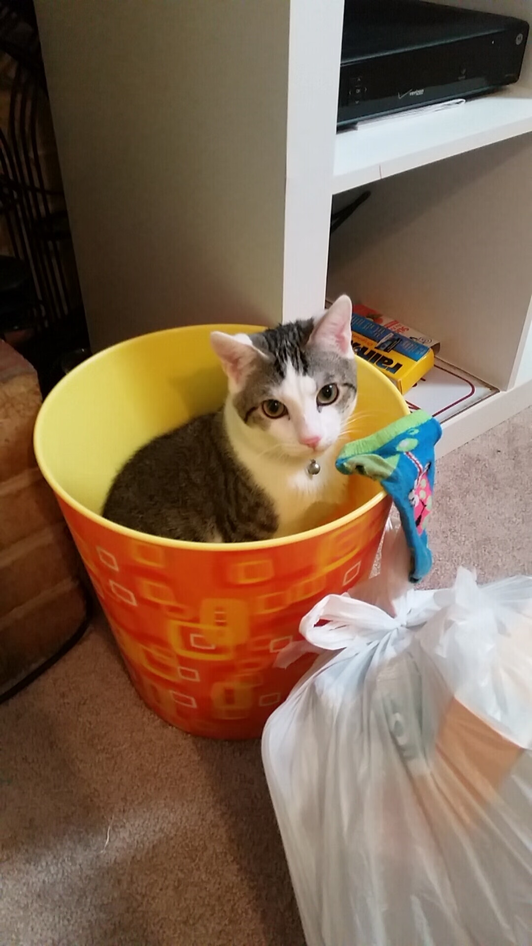 FaZe关注英雄联盟全球赛事发展,英雄联盟全球总决赛发布会