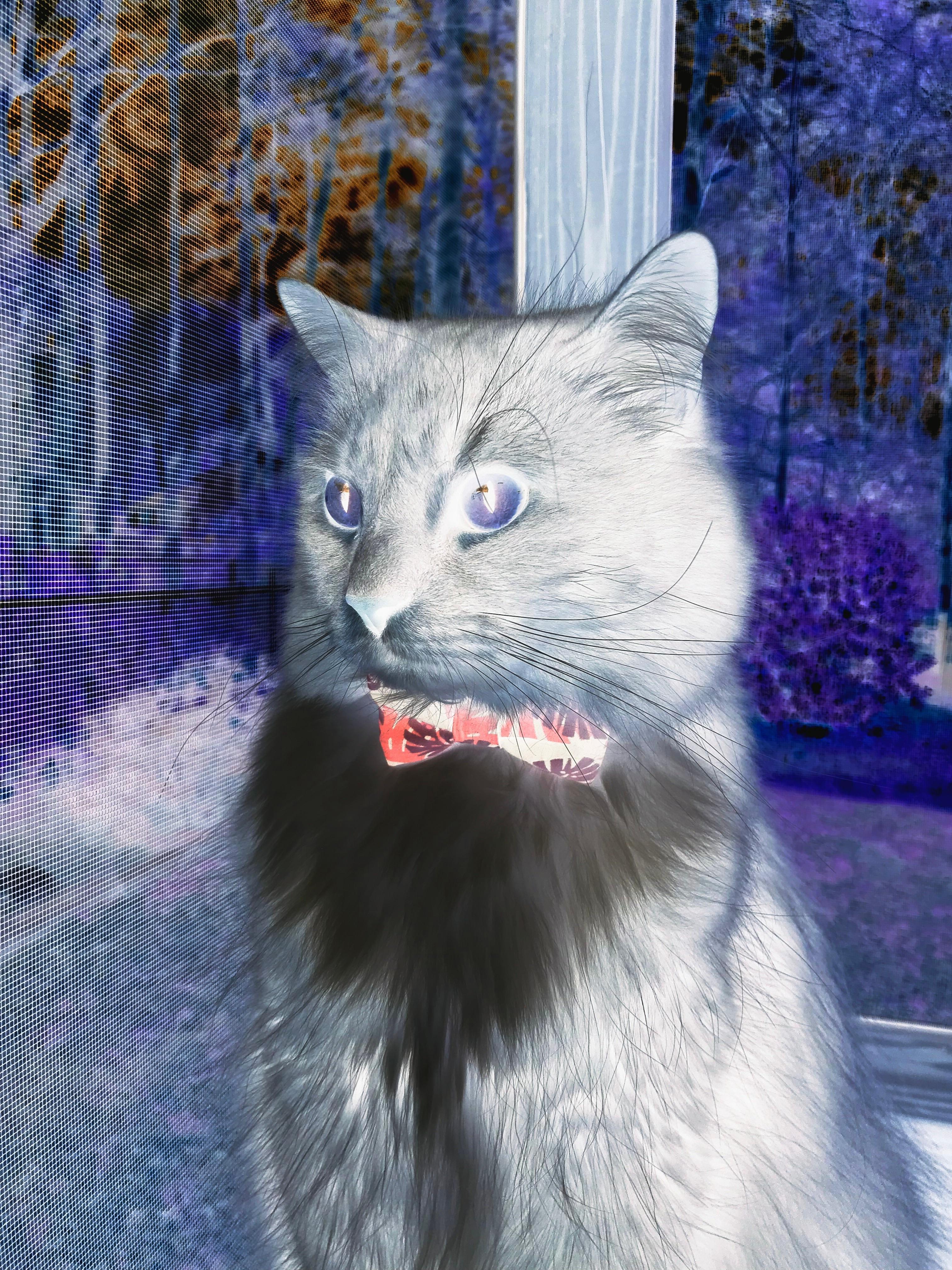 《勇士主帅强调调整策略,备战下一场比赛》,勇士主力队员