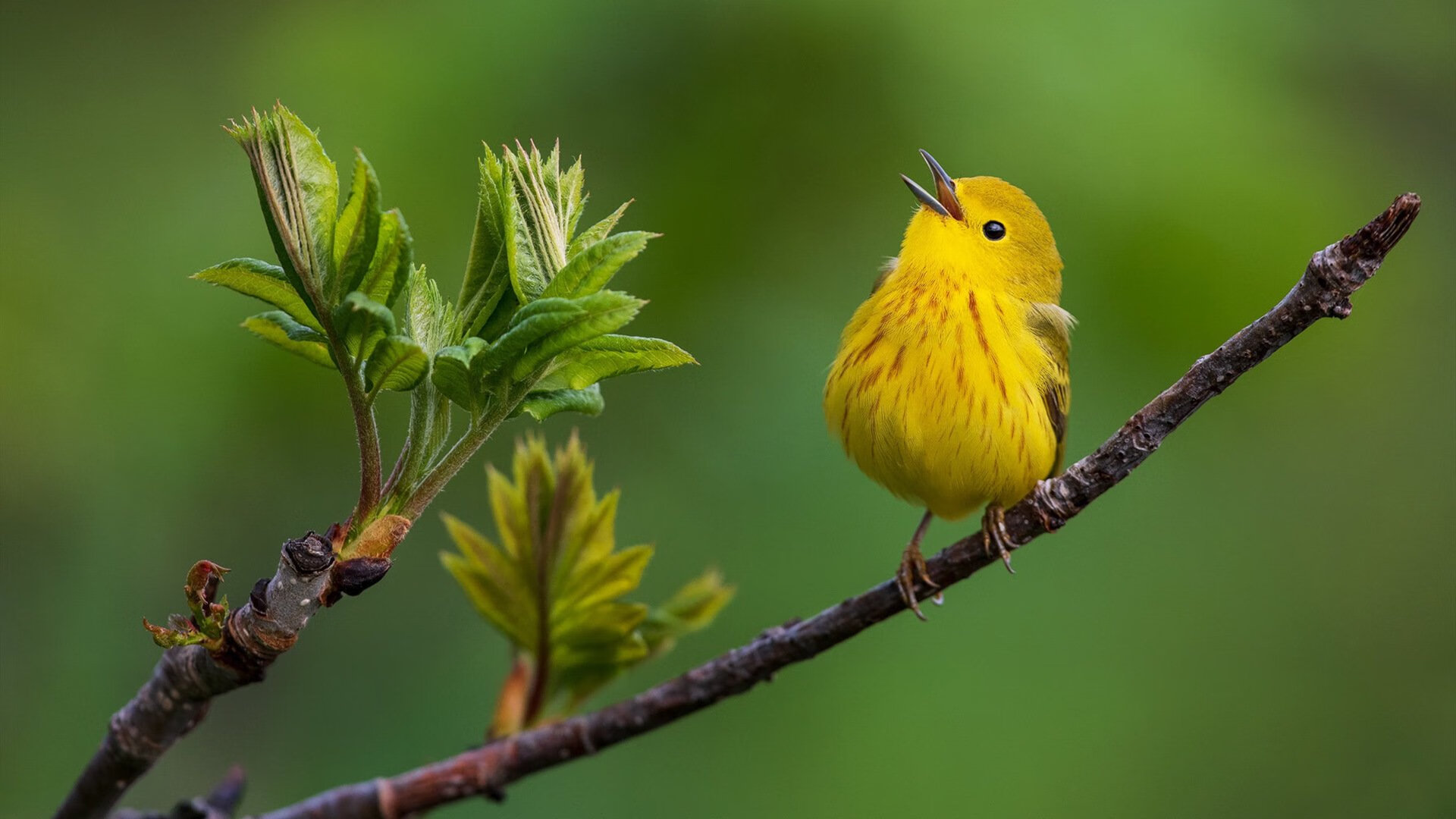 亚眠客场战绩糟糕,主帅争取客场迎首胜,亚眠是哪里