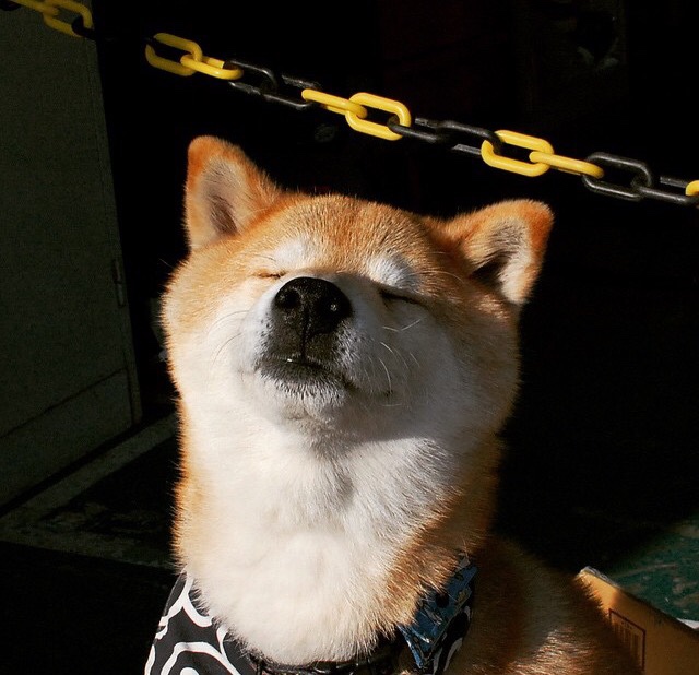 爱游戏中国官方网站平台-冰岛负于丹麦，欧洲国家联赛面临艰难局面，冰岛欧洲杯预选赛成绩