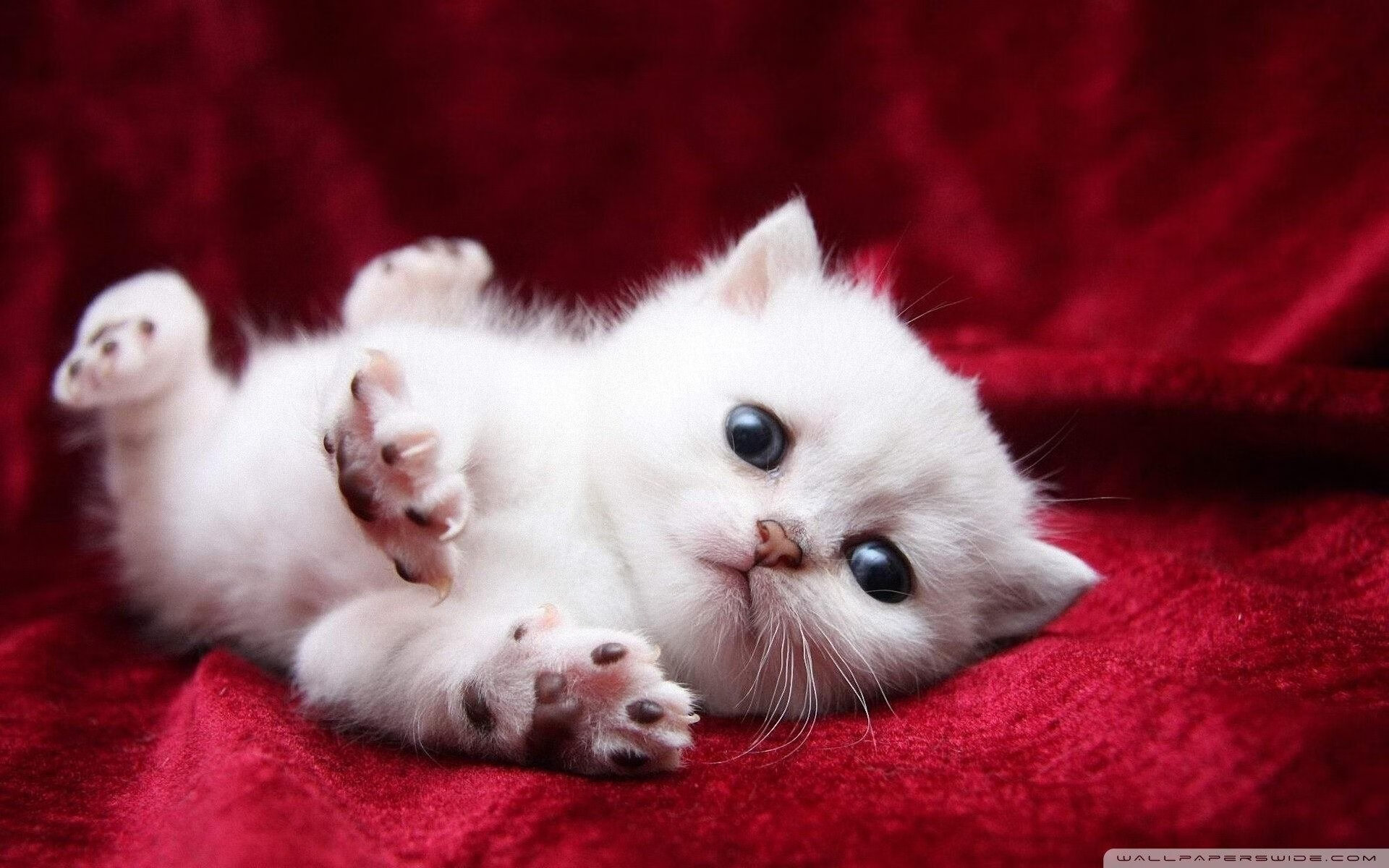 德国媒体赞瑞士为“雪地足球技术模板”