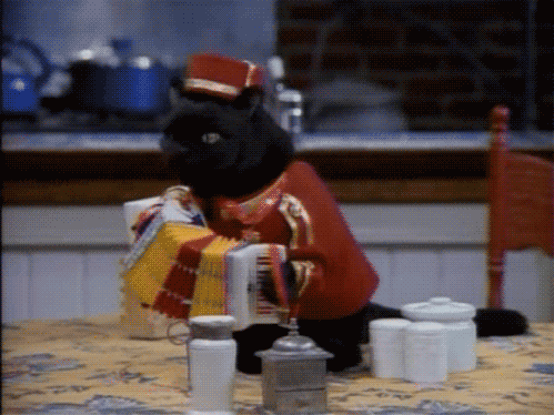 日本马术协会与学校合作,开展马术教育课程,推广马术文化。,日本马术联盟