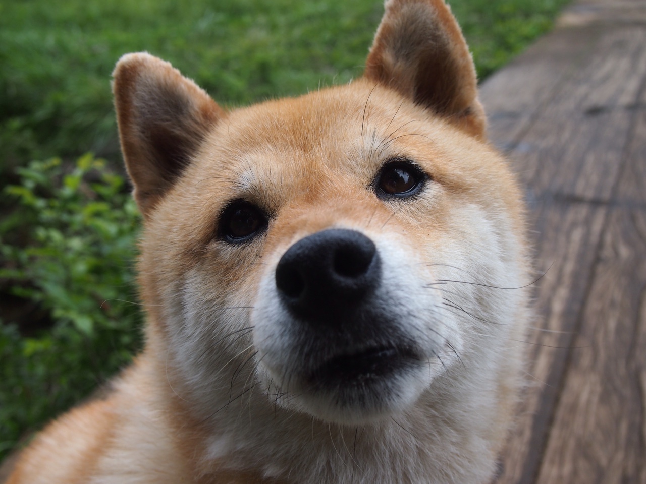 爱游戏中国官方网站平台-深度解析射击比赛光电系统稳定性，光电射击步枪价格