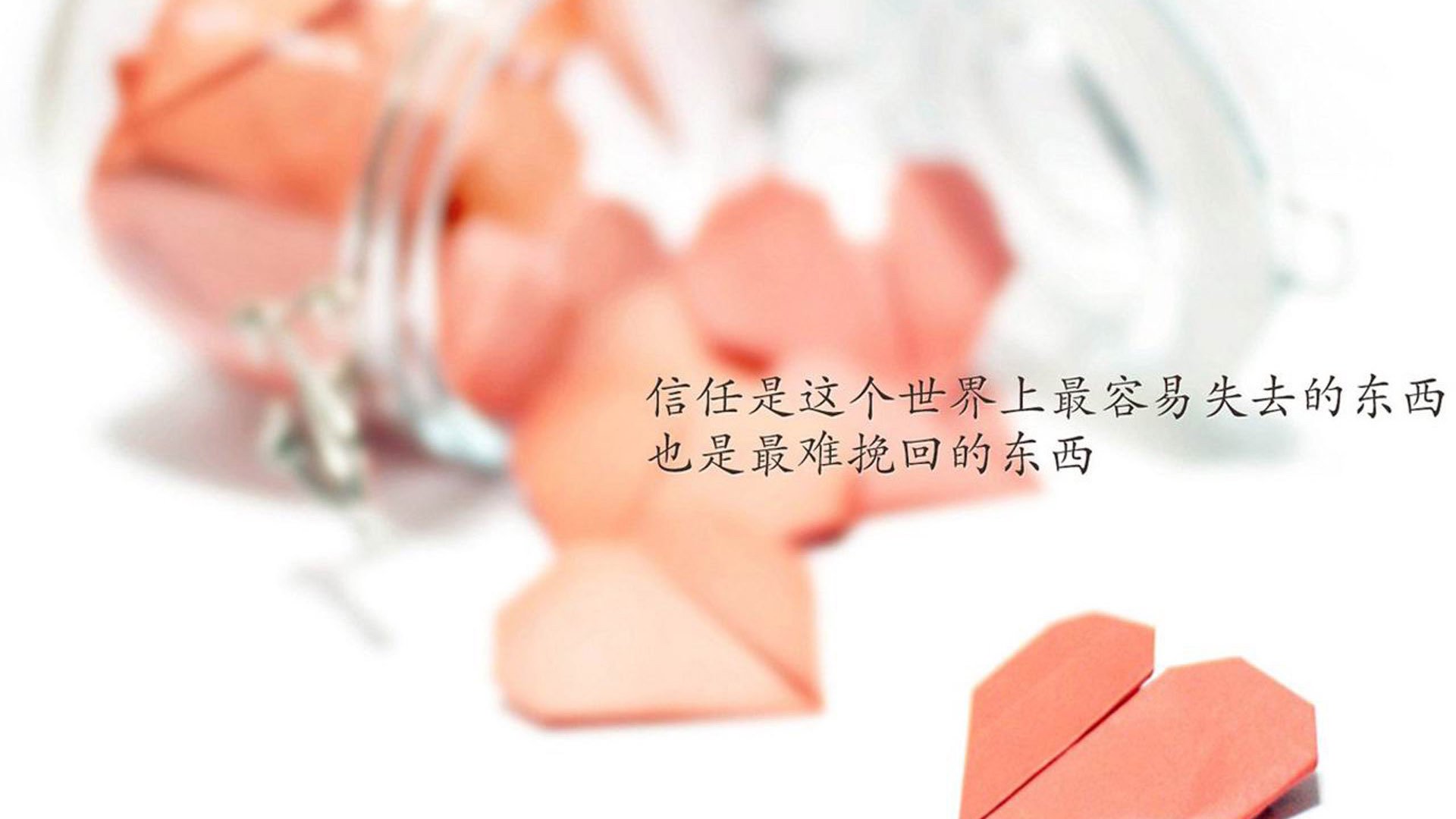 突尼斯联赛观众热情高涨,突尼斯ok