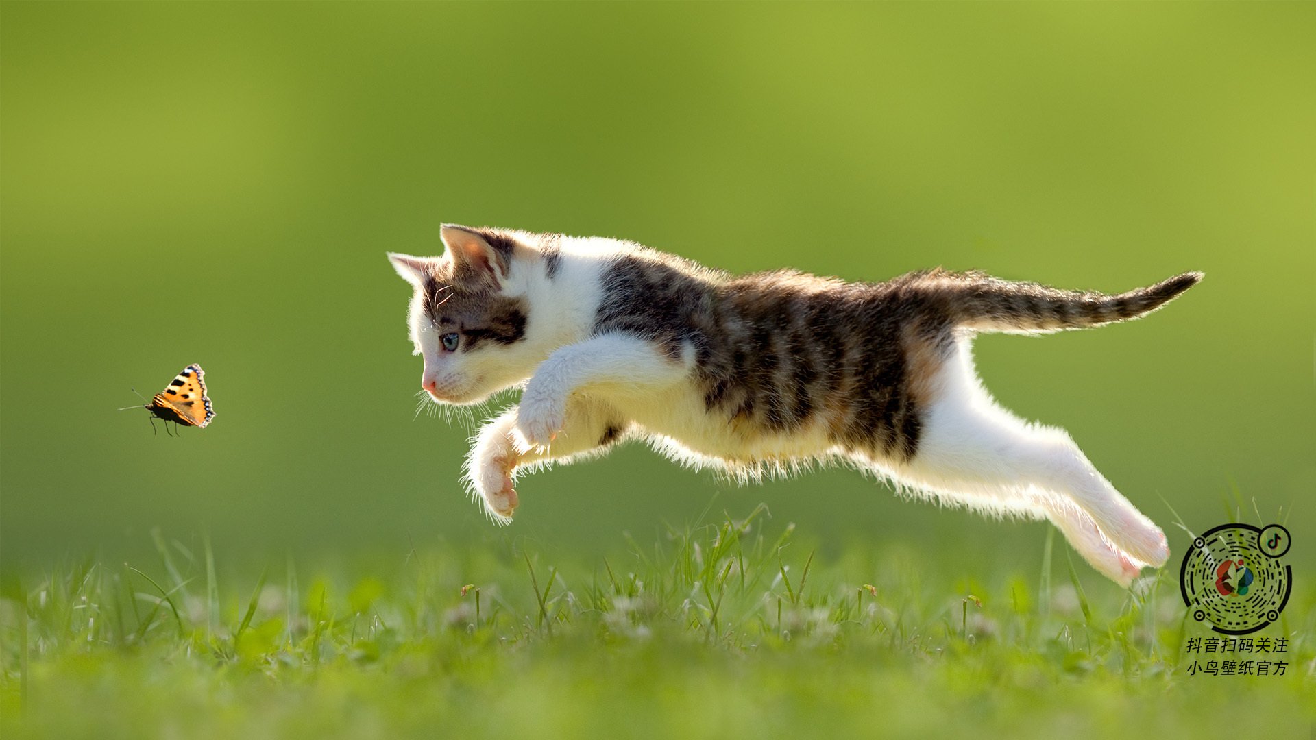 爱游戏体育app-谁将笑到最后？欧洲足球冠军联赛半决赛胜者将逐鹿总决赛，欧洲杯足球赛半决赛