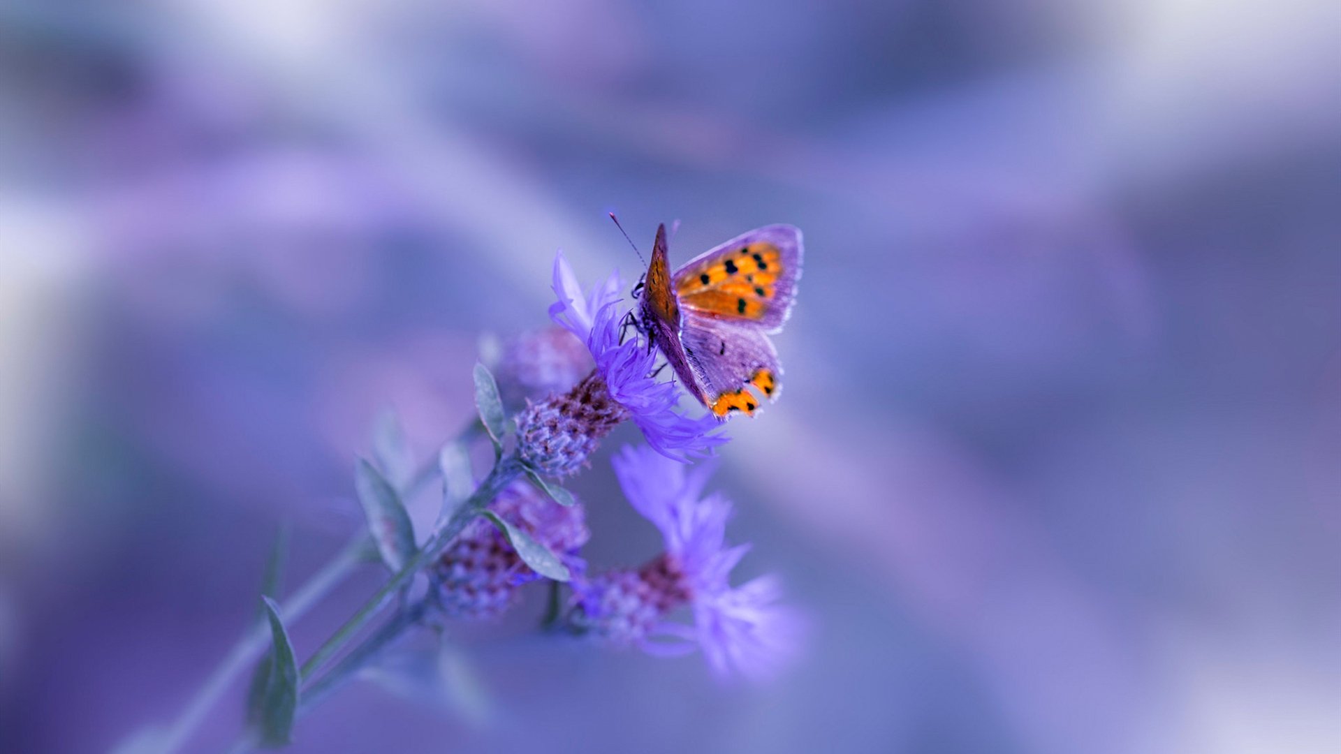 爱游戏 电竞-门将出击是否存在高风险误差值，门将出球规则