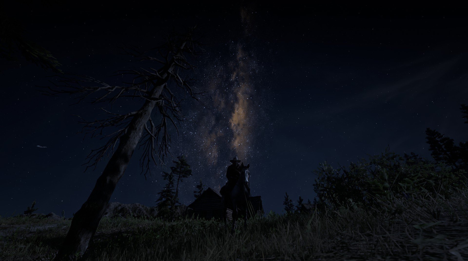 全国男子橄榄球锦标赛上海队夺魁,全国橄榄球冠军赛