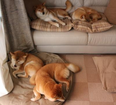 德甲青训项目采用视觉注意力训练增强空间感知能力