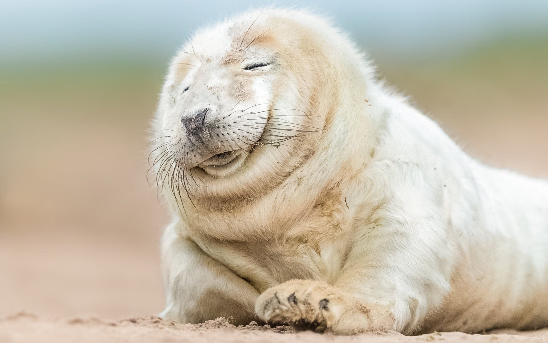 青少年体育社交平台用户行为特征及体验优化研究,青少年体育市场