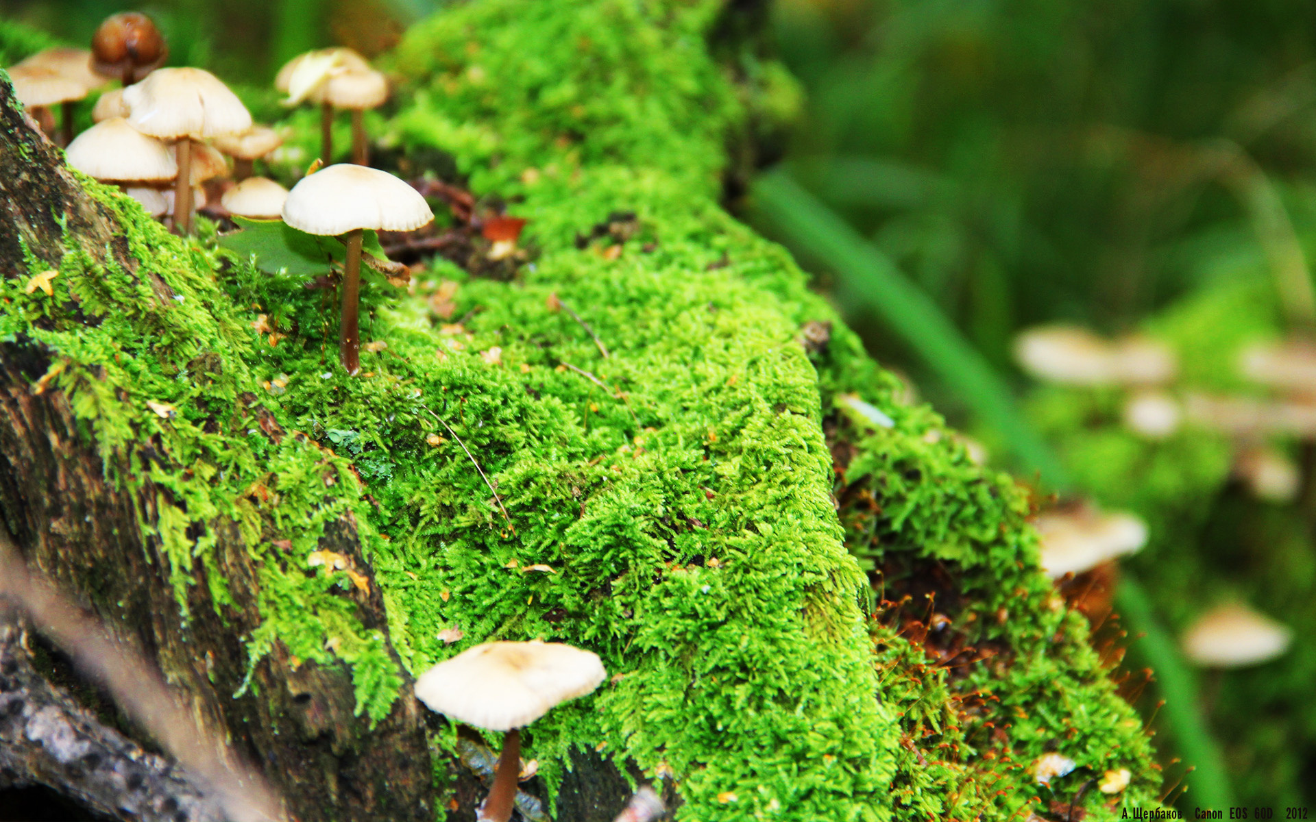 爱游戏体育APP下载-国家队缺乏对手情报收集团队支持