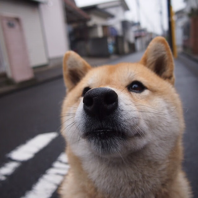 拜仁通过灵活换位制造局部优势,拜仁轮换阵容