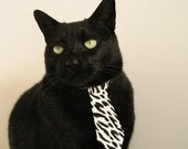 赛事数据解读选手竞技状态,选手锦标赛