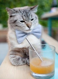 爱游戏体育平台-青少年篮球选拔赛纳入国家人才数据库，2021年全国青少年篮球竞赛计划