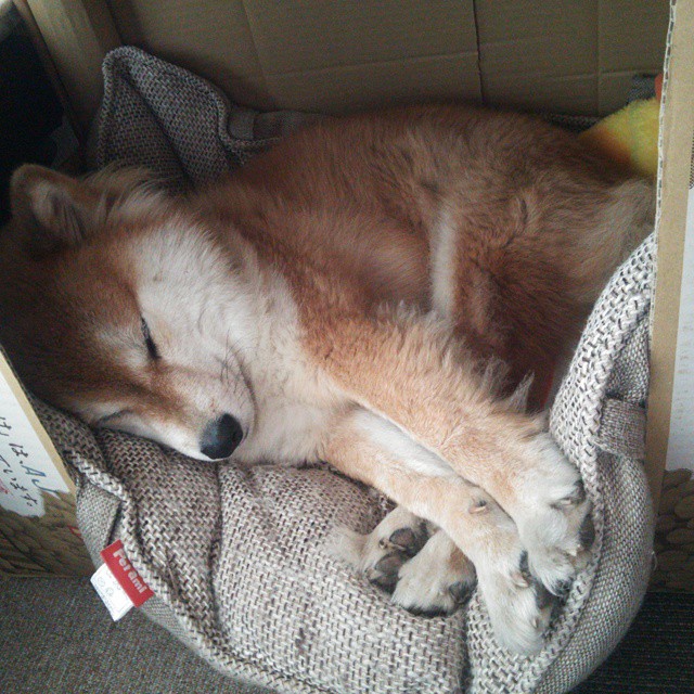 世界杯热身赛中战术调整的深度剖析,世界杯热血