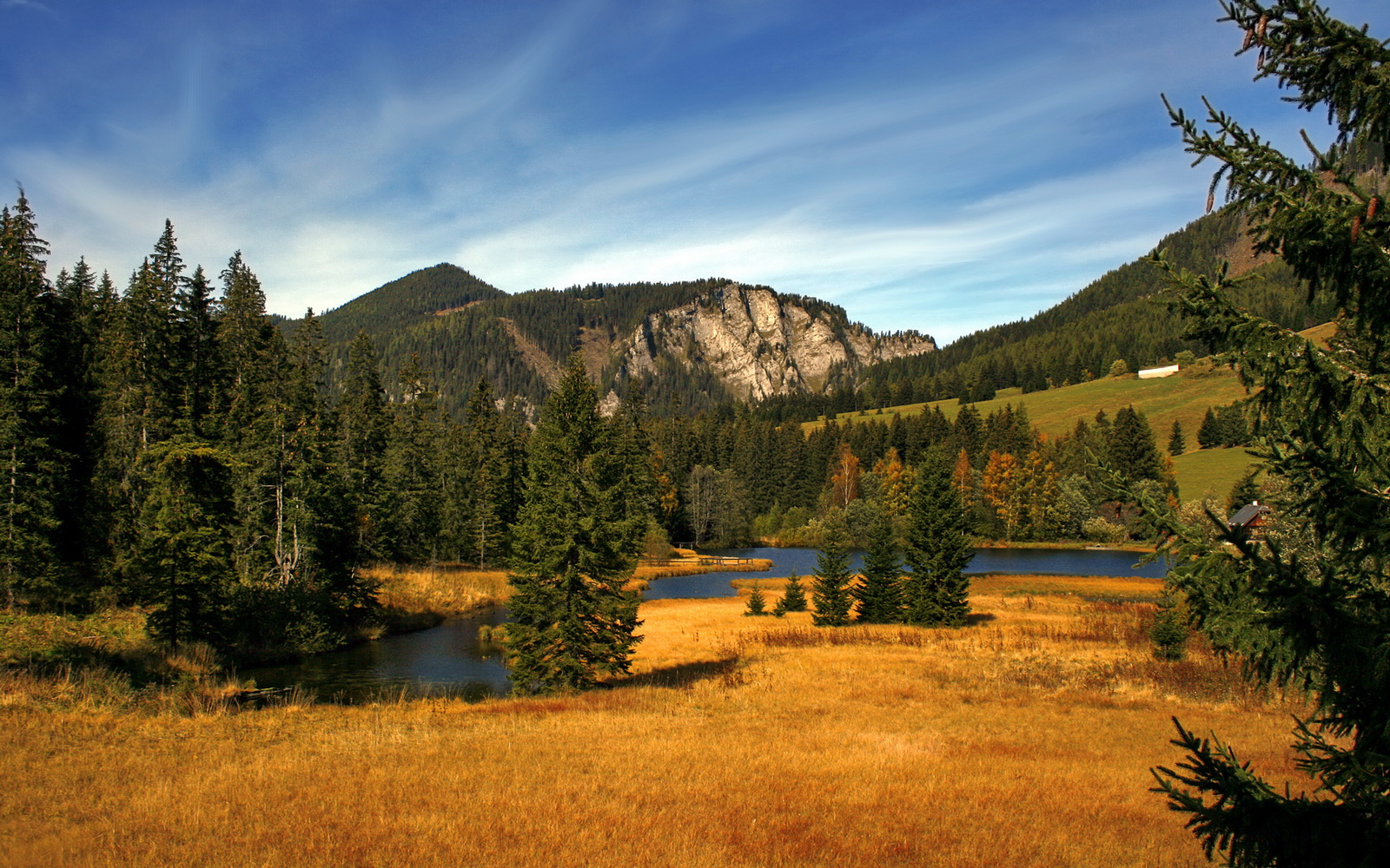 爱游戏电竞官网-中国队赛场表现赢得观众喝彩，中国队比赛怎么样