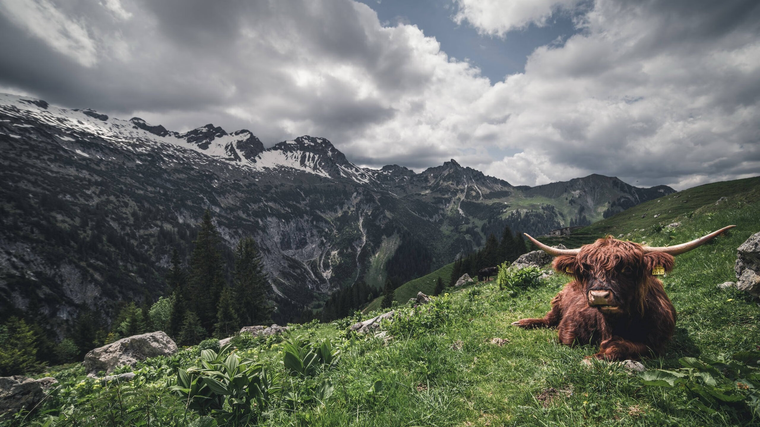 篮球新秀表现引发关注,篮球最佳新秀