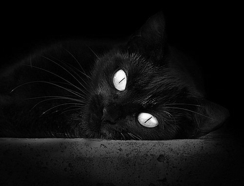 陈艺文刷新个人最好成绩,陈艺文比赛视频